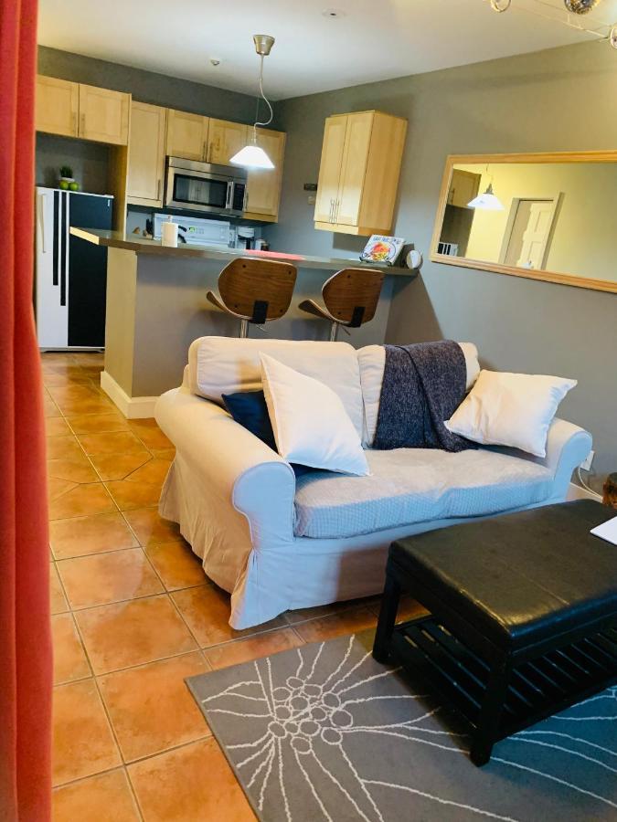 Condo Entier, Fully Equiped Pool And Spa Only In Summer Mont-Tremblant Ngoại thất bức ảnh